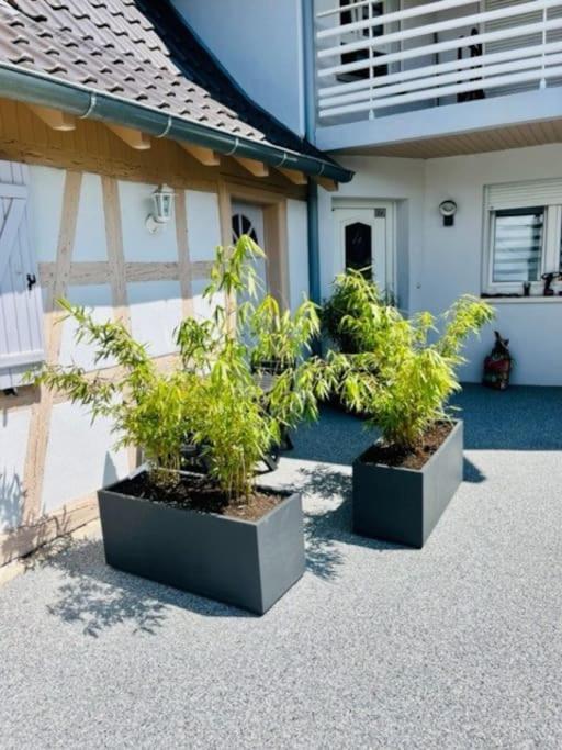 S'Hiesele Petite Maison Alsacienne Typique Ittenheim Dış mekan fotoğraf